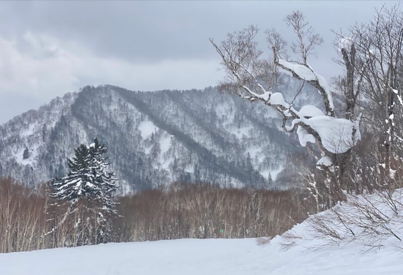 Hokkaido, Japan. Image © PlanetSKI